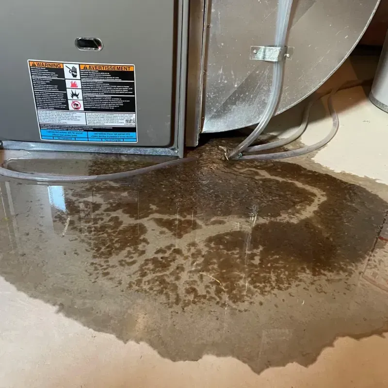 Appliance Leak Cleanup in Polk County, AR